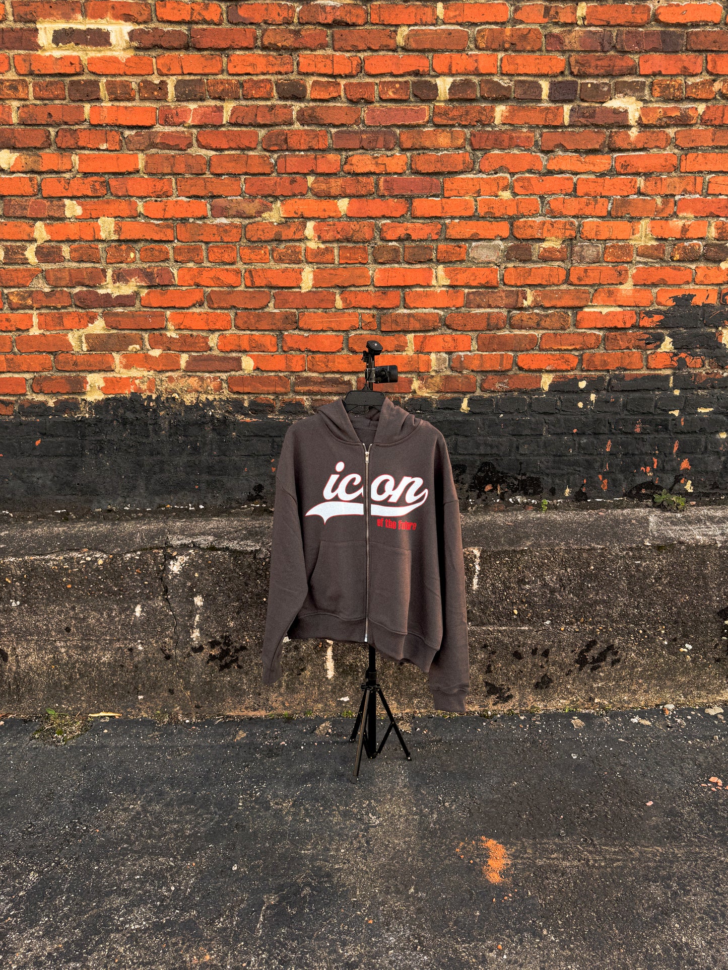 “Iconic Ball Park” zip up