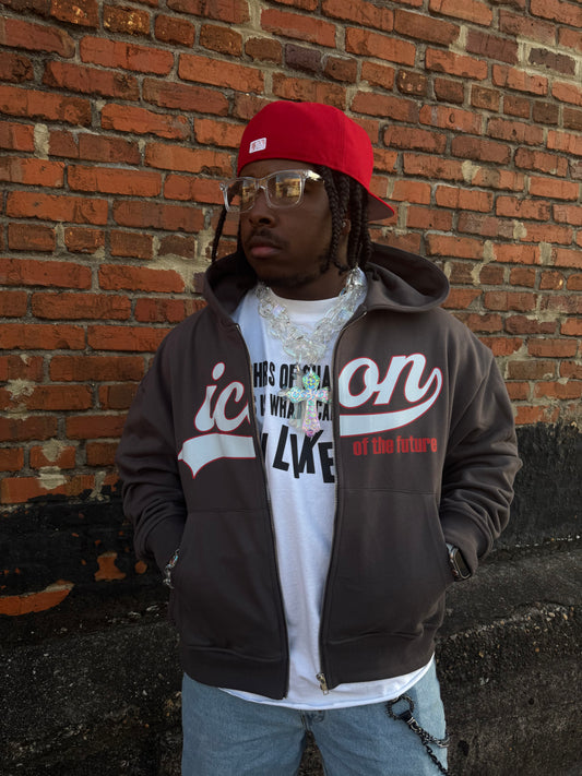 “Iconic Ball Park” zip up